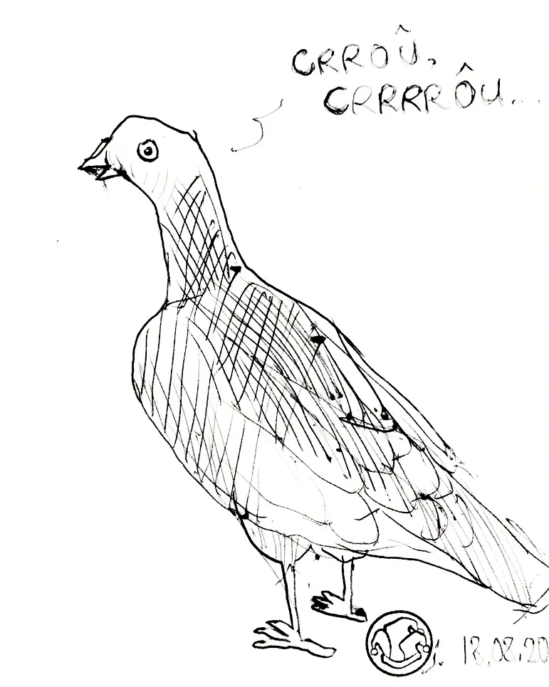 le zoli dessin « Crroû Crrrrôu » que j'ai bilouté le 18 août 2020